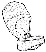 pen and ink drawing of polar cap and ear warmer