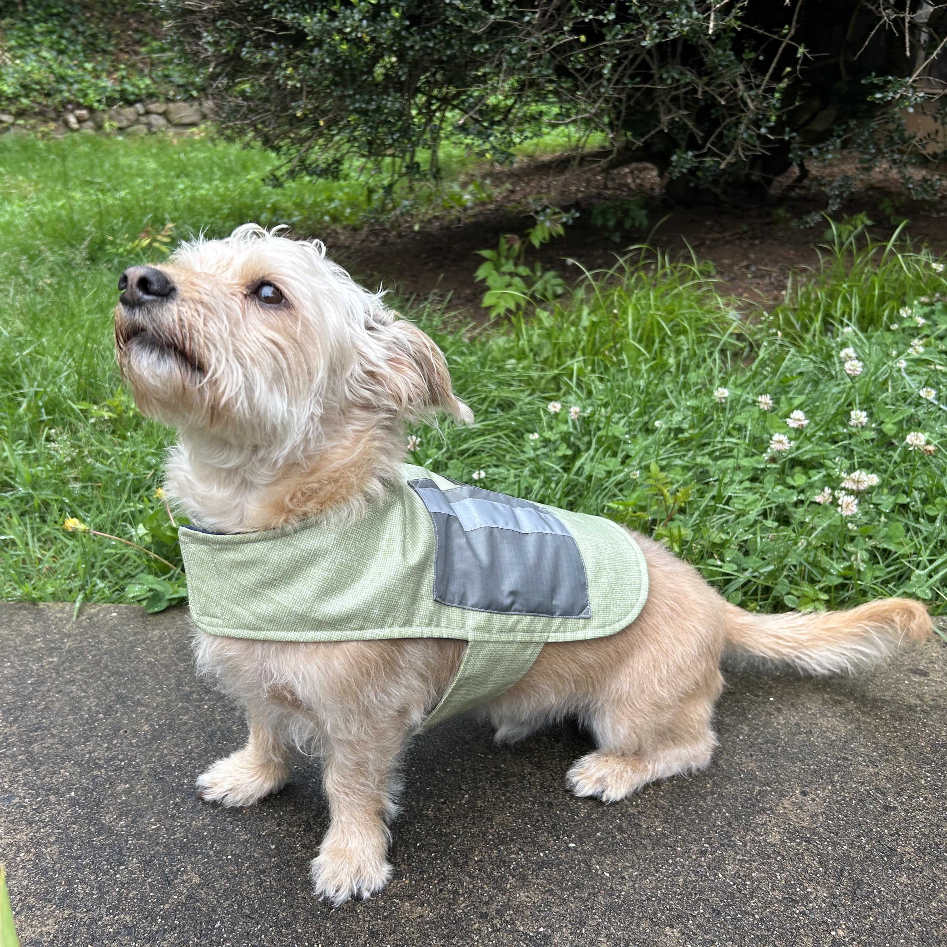 犬服・アクセサリー SP Dog Down Jacket 5L Olive George True in the 553 Warm & Dry Dog Coat! – The Green Pepper