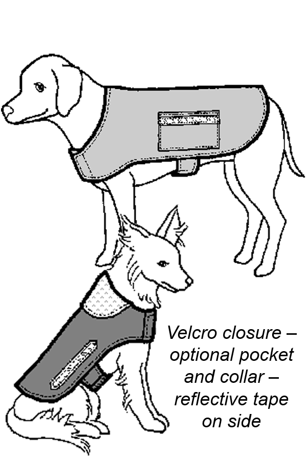 Drawing of two dogs wearing coats, one is sitting and one is standing.