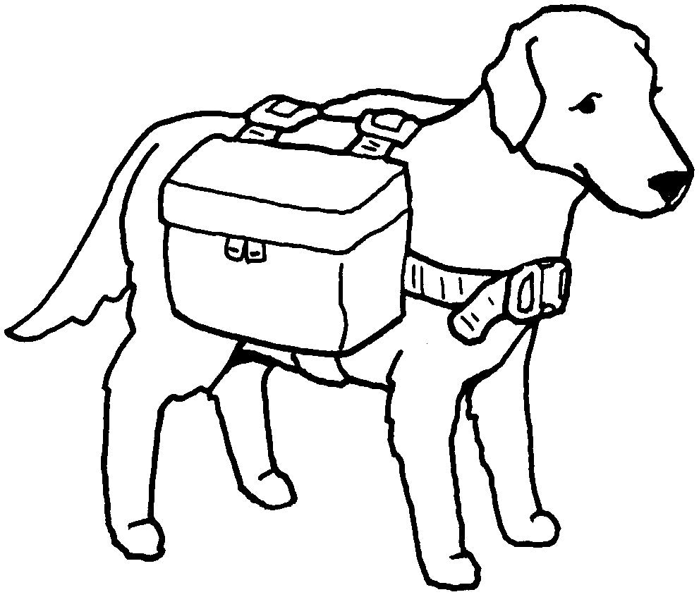 pen and ink drawing of a dog wearing the dog back pack.