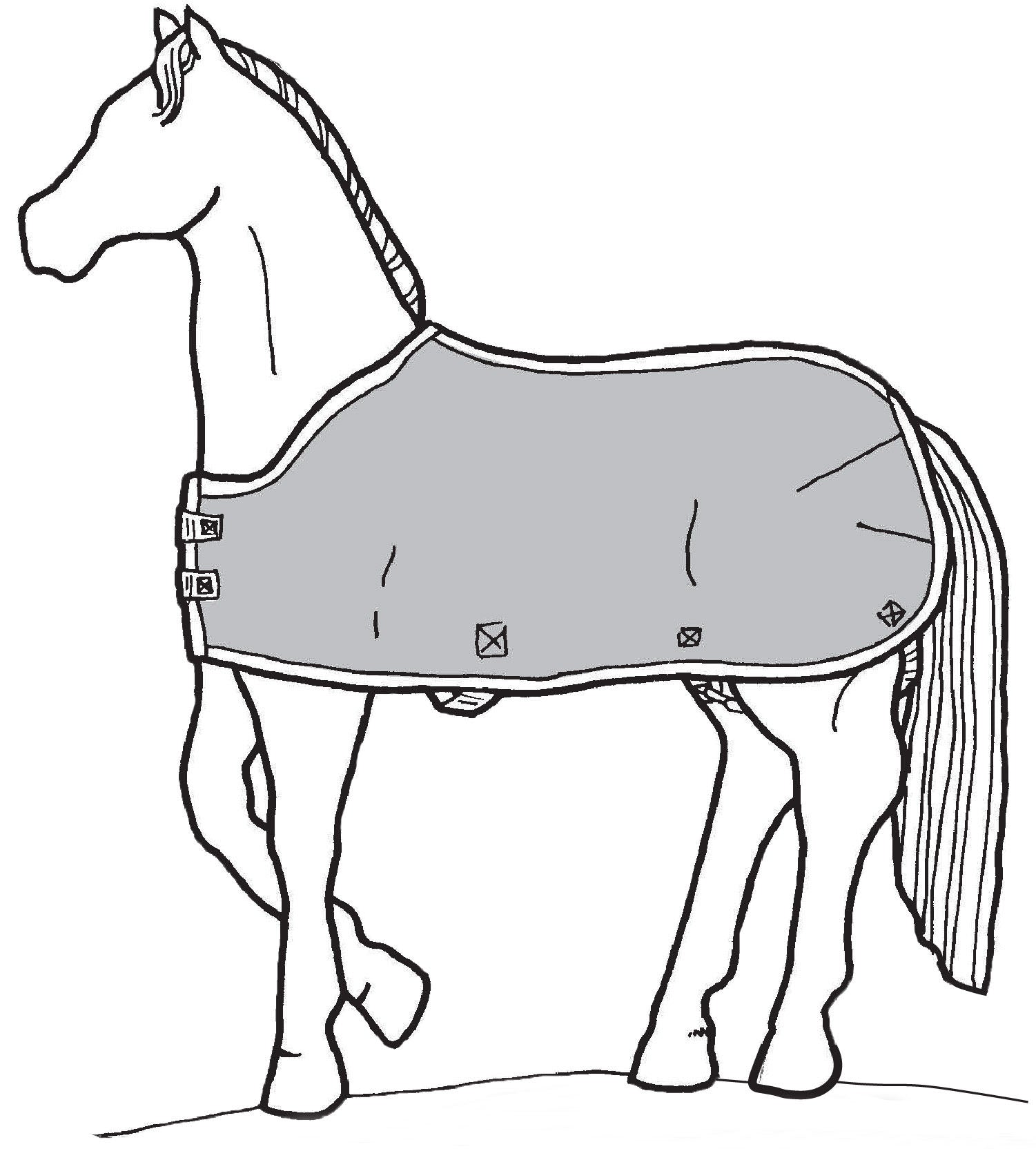 drawing of a horse in a grey horse blanket